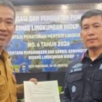 Reklamasi Pesisir Luwu Disorot: Mangrove Terancam, Dokumen Lingkungan Dipertanyakan